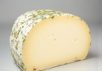 Fresh Dutch goat cheese log