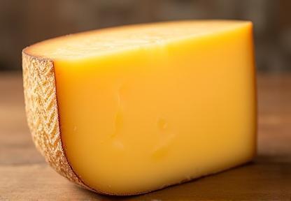 Slice of Spanish Manchego cheese
